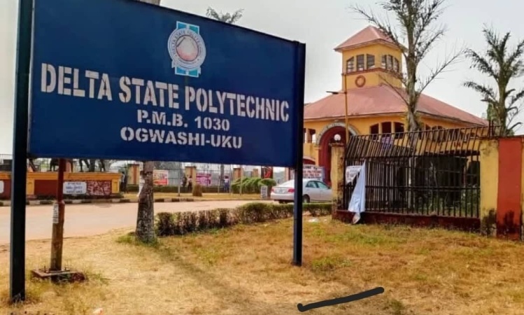 Alleged certificate racketeering in Delta poly under investigation ? Governing Council
