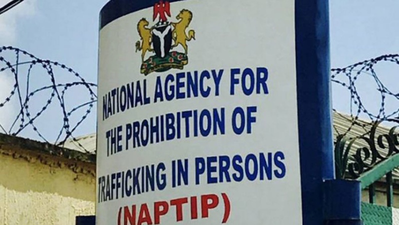 ?I paid N2.8m for child adoption?, complainant says as NAPTIP busts syndicate selling children