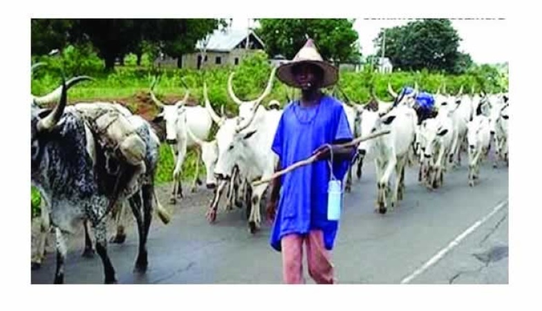 Church raises the alarm over herders? invasion of Taraba communities