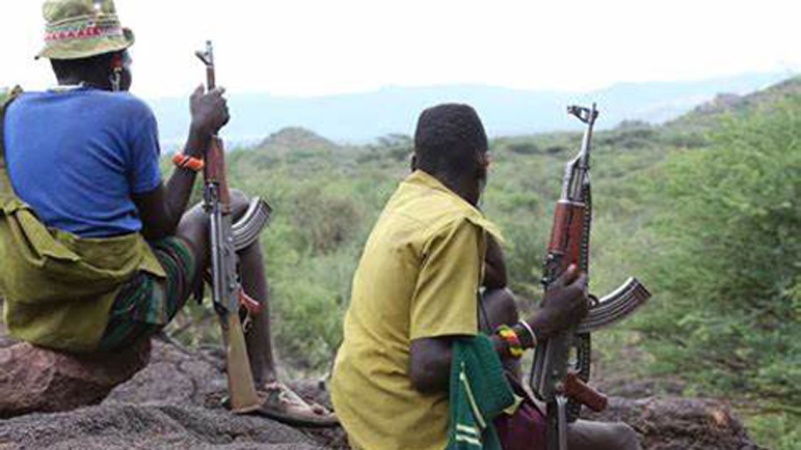 Banditry: Kaduna communities decry renewed attacks, demand gov?t action