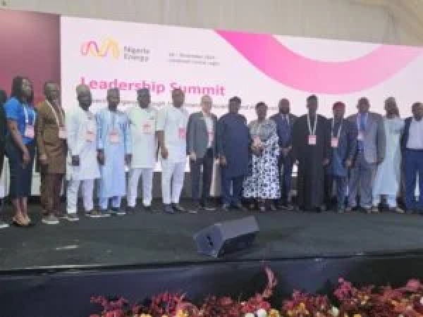 FG secures N700bn to deploy 1.1m meters