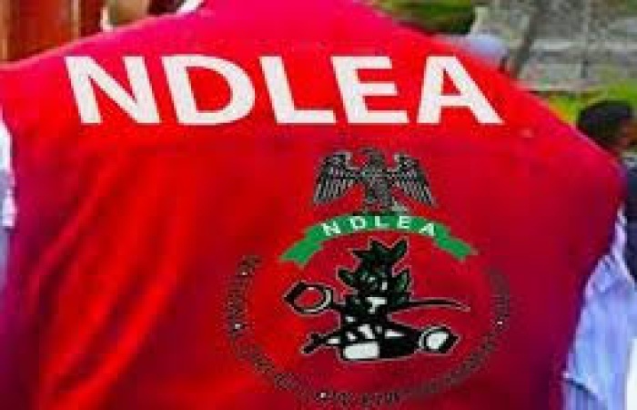 NDLEA: Purported airport in Kebbi forest AI generated