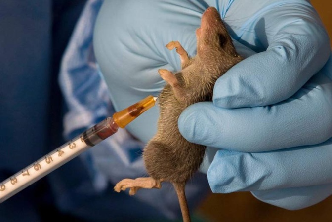 Outrage as youths seize Lassa fever victim?s corpse in Benue
