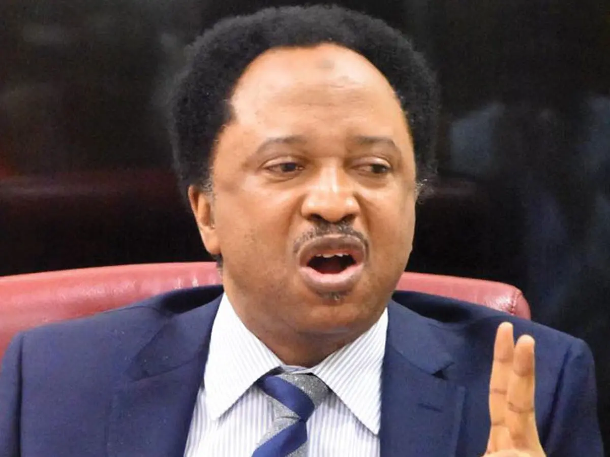 Shehu Sani: Military Shake-up Necessary To Fight Insecurity