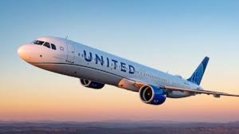 Passenger jet forced to turn back after passenger loses laptop