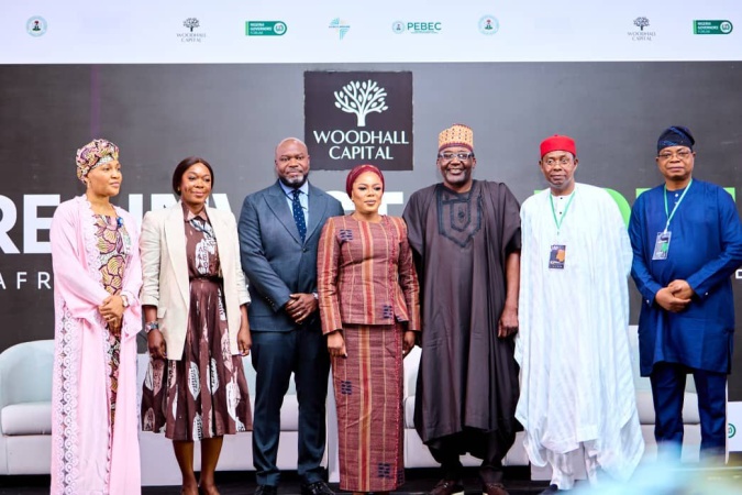 Woodhall Capital targets $50 billion in global investments to drive Nigeria?s development