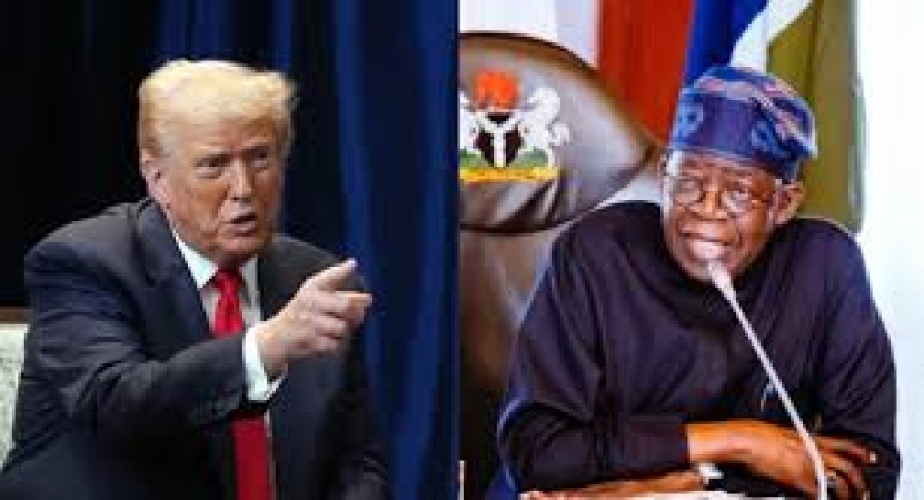 How Nigeria should respond to Trump?s action, by Oyebode, Ogunsanwo, Soremekun