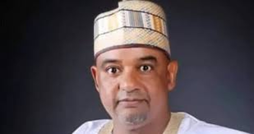 PDP plots survival strategy