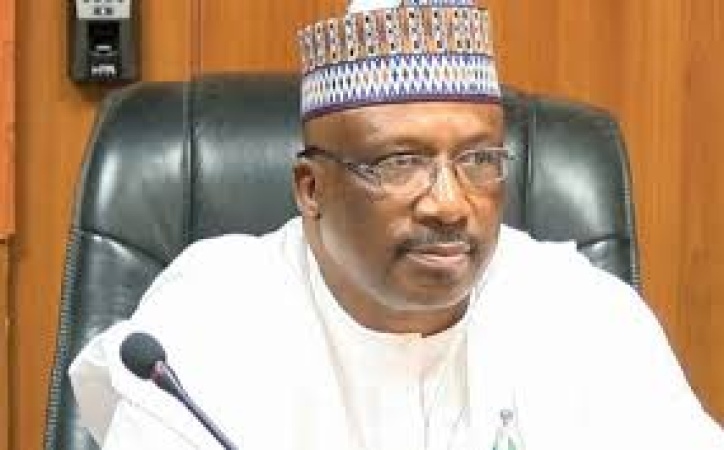 How police error caused Boko Haram insurgency ? Ex-Army Chief of Staff