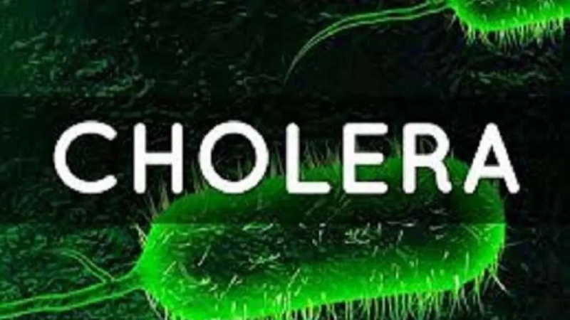 Cholera kills 10 in Mubi, residents urged to observe hygiene
