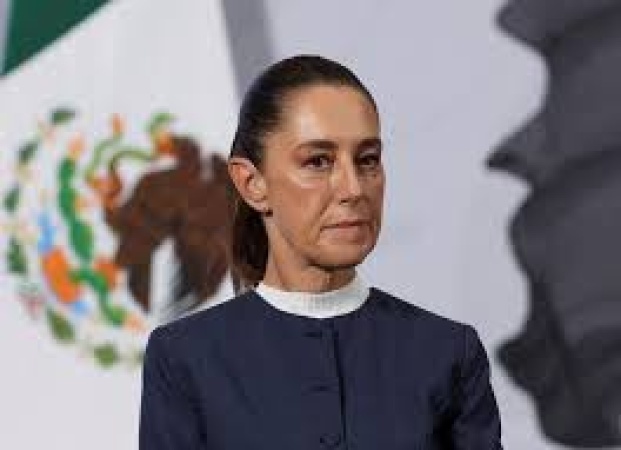 Man arrested for groping female President