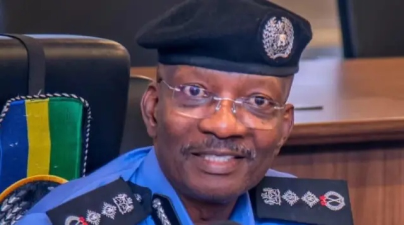 Over 100,000 Nigerian policemen assigned to VIPs ? EU report