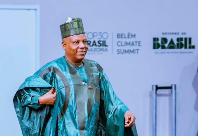 COP 30: Groups slam Nigeria?s push to monetize nature, warn against ?financialising? environment