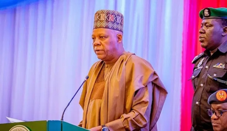 Afam Power Sale To Transcorp Moves Forward As Shettima Calls For Overhaul Of Privatisation Strategy