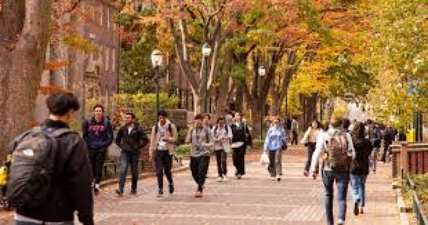 US sees sharp drop in new international students amid immigration crackdown