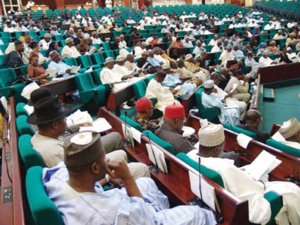 Bill to reduce governorship age requirement to 30 scales second reading in House of Reps