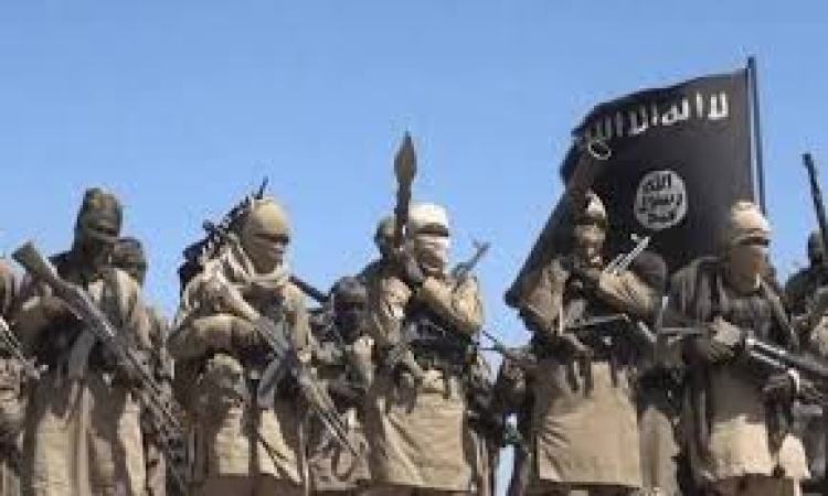 Jihadist reportedly overrun gendarmerie camp in Niger, kill 21 officers