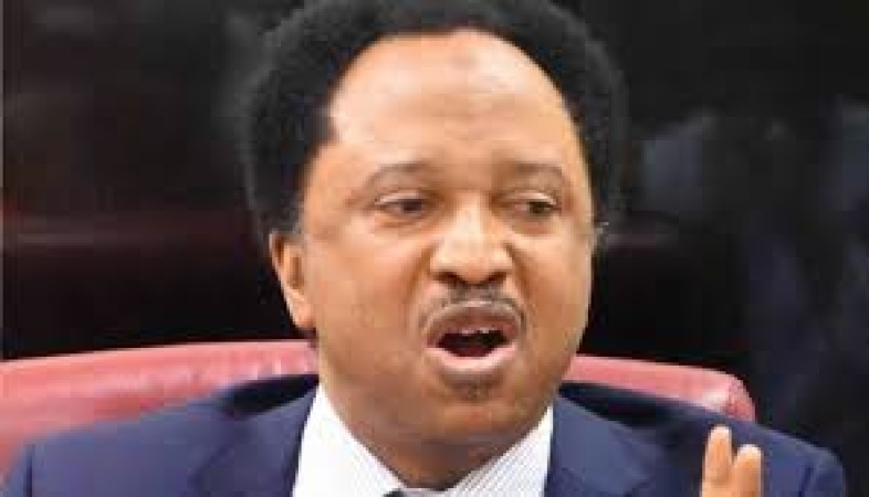 Security crisis: Shehu Sani, AFF warn FG to act, seek international help