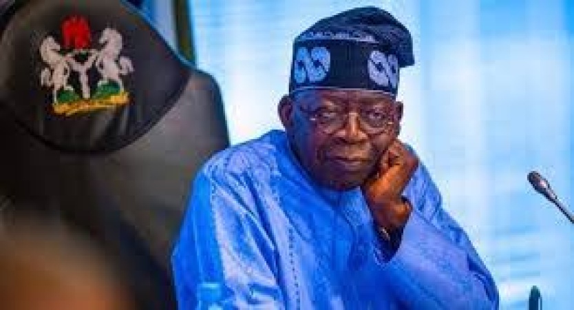 N6trn: Court orders Tinubu govt to publish NDDC forensic audit report, name those indicted