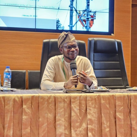 Only CBN-licensed firms can collect electricity payments ? FG
