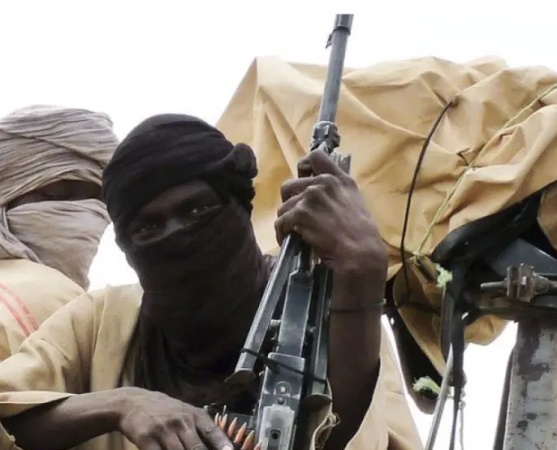Bandits have turned Kanji National Park to operational base, House of Reps Member reveals