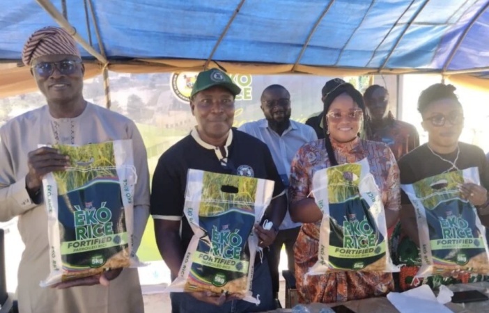 Lagos unveils biofortified rice to address micronutrients deficiency