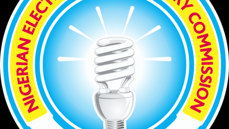 Leadership vacuum leaves NERC in limbo, threatens gains in power sector