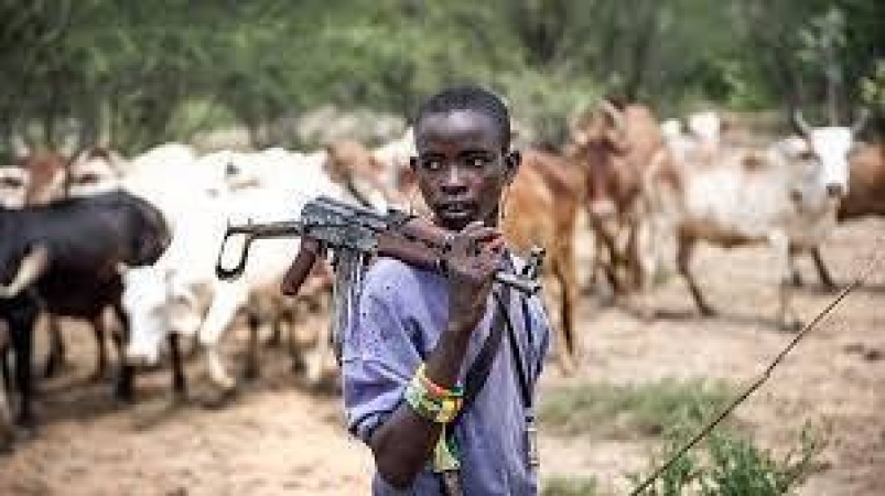 Residents panic as gunmen intensify kidnap operations in Enugu communities