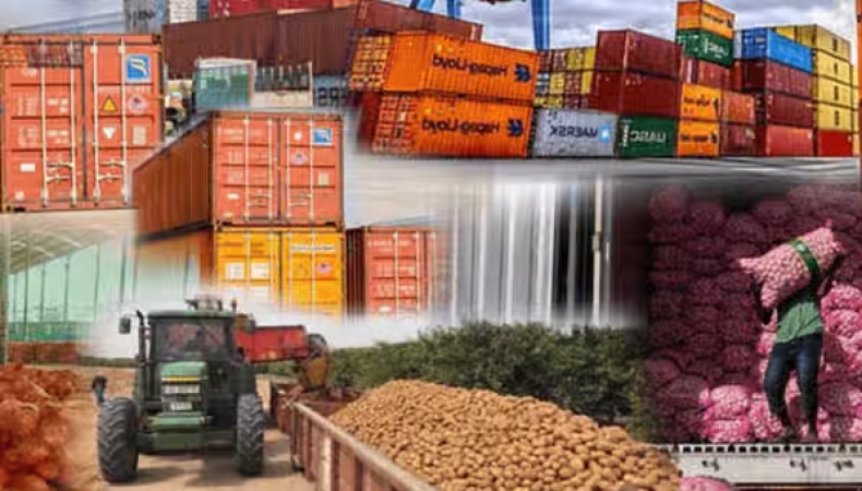 Why Europe is blocking more Nigerian goods at its borders