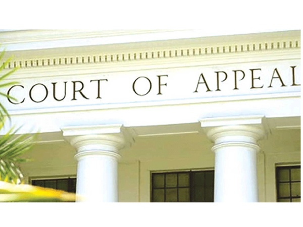 Appeal Court affirms judgment barring VIO from stopping, impounding vehicles 