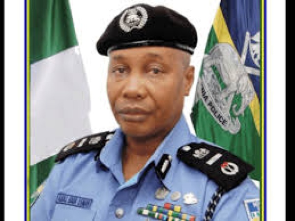 Why past attempts to withdraw policemen from VIPs failed — Ex-IGP