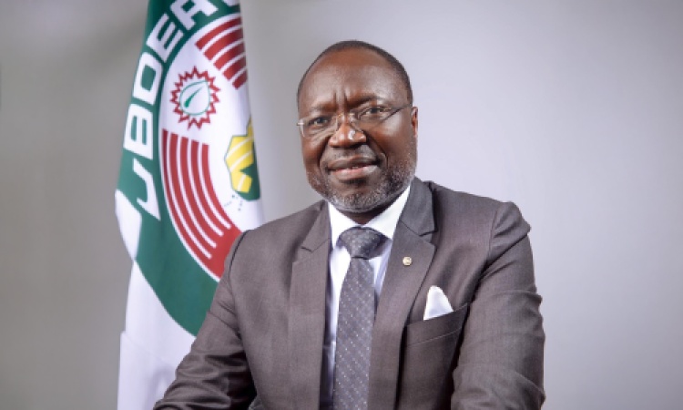 Nigeria’s intervention in Benin coup attempt sets regional standard, says ECOWAS
