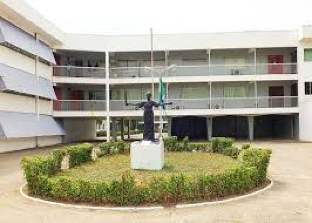 Court quashes bid by sacked Osun APC chairmen to access frozen council funds