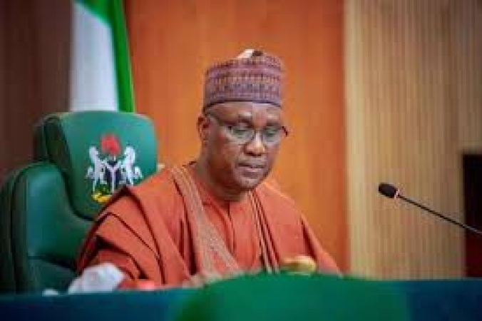 House of Reps faces confusion over constitutional amendment voting