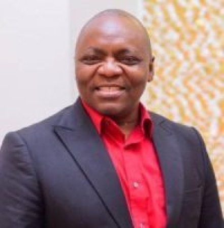 WHO appoints Nigeria’s Prof. Emeje to traditional medicine advisory group