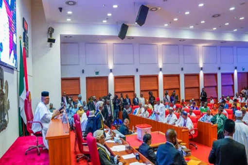 Senate okays N54.46tr for 2026 despite 2025 revenue shortfall