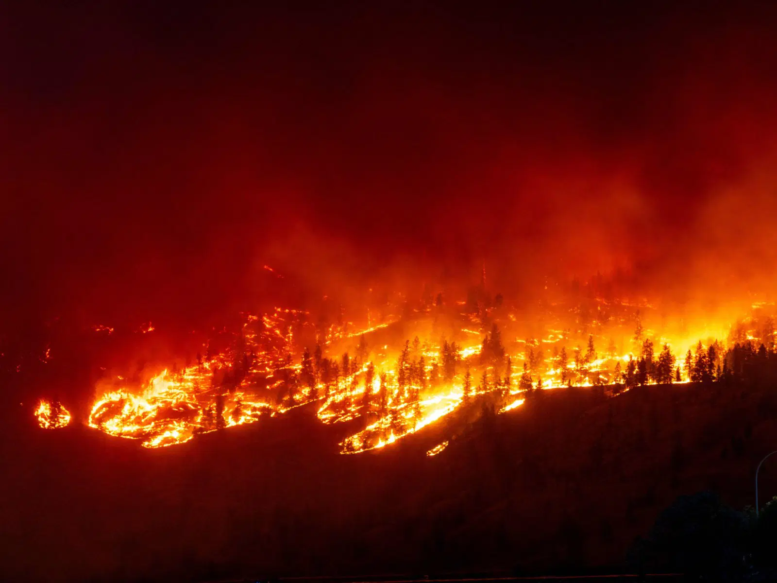 Fire razess 48 shops in Lagos market