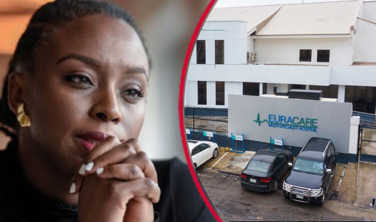 Nigerian hospital responsible for my son’s death — Adichie