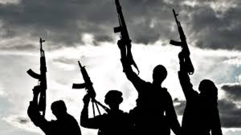 Katsina LGA budgeted N300m to pay bandits – ADC chieftain