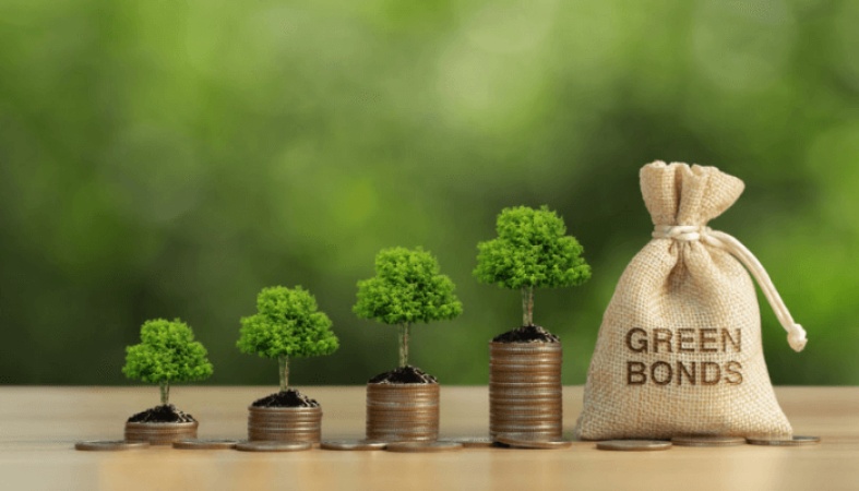 Nigeria targets $1bn from domestic green bond issuance