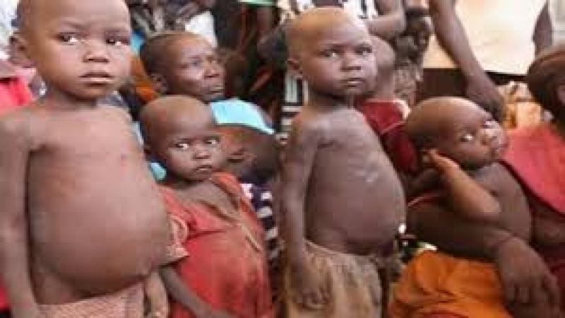Aid cuts push 1.2m in Northeast Nigeria deeper into hunger — WFP warns