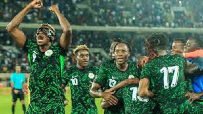 EXCLUSIVE: FIFA verdict on Super Eagles World Cup petition February