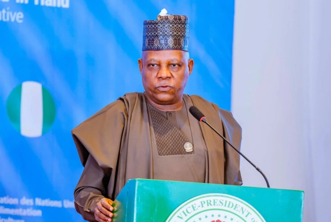 Nigeria has potential to be greatest country on earth — Shettima
