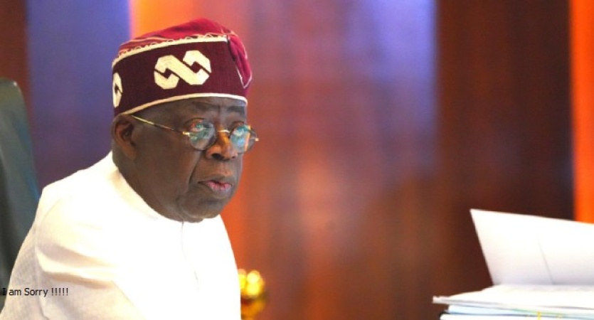 Tinubu hails Nigeria–UAE industrial breakthrough as BUA signs strategic MOU with Abu Dhabi Ports, MAIR Group