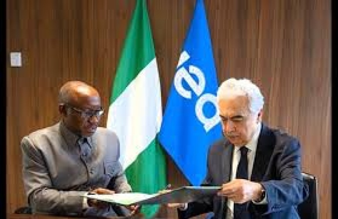 Nigeria, IEA seal pact on methane reduction, clean cooking expansion