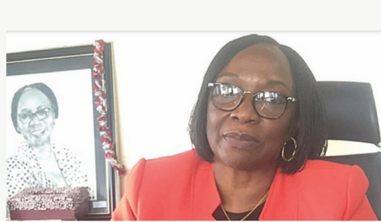 Overcrowding, urban growth accelerating infectious diseases in Nigeria — UNILAG VC