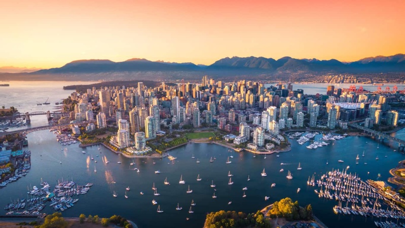 Canada records 60% fall in new international student arrivals