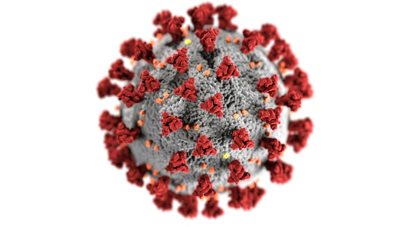 Scientists develop ‘universal’ nasal spray vaccine against COVID-19, others