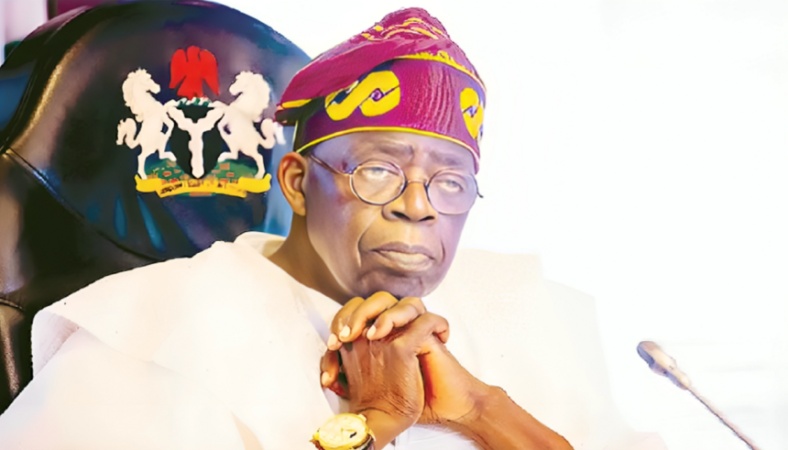 Tinubu govt risks diplomatic embarrassment over ambassadorial postings – ADC warns