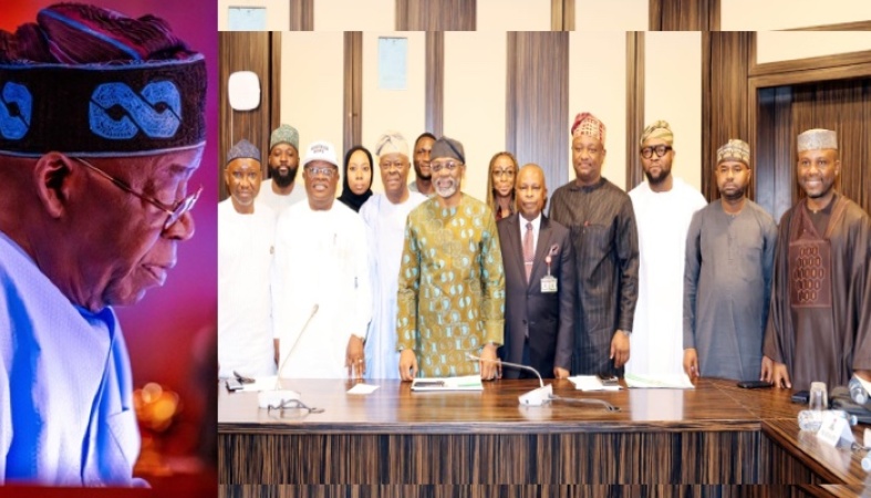 Tinubu inaugurates GAMCO committee, targets 1,600MW stranded power  